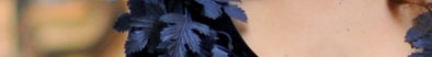 Falda abullonada en tafeta natural y chaqueta en terciopelo. Azul marino